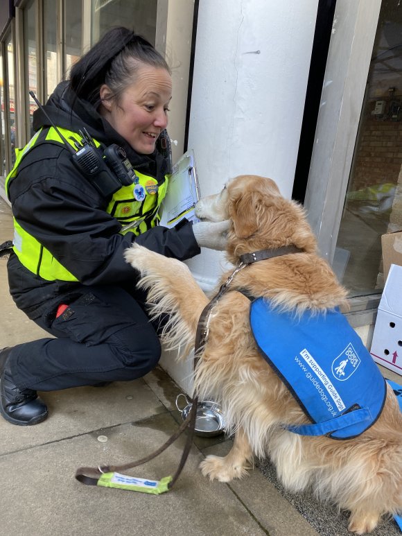 Guide dogs for the blind