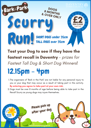 Recall scurry poster