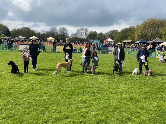 young handler winners and their dogs